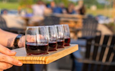 Wine and Food Pairing Basics