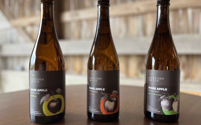 Retreat 21 Cider & Food Pairing Basics