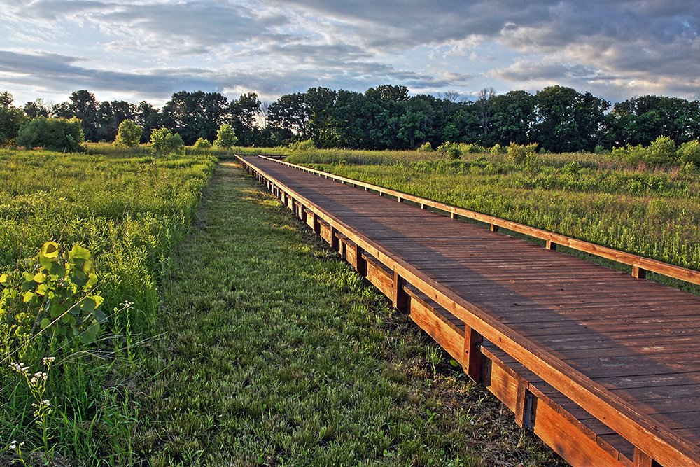 The Boardwalk at Glacier Ridge Metro park (Photo by Kelly Riehl-Miller
