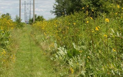 Photo Backdrops Around Marysville, Ohio
