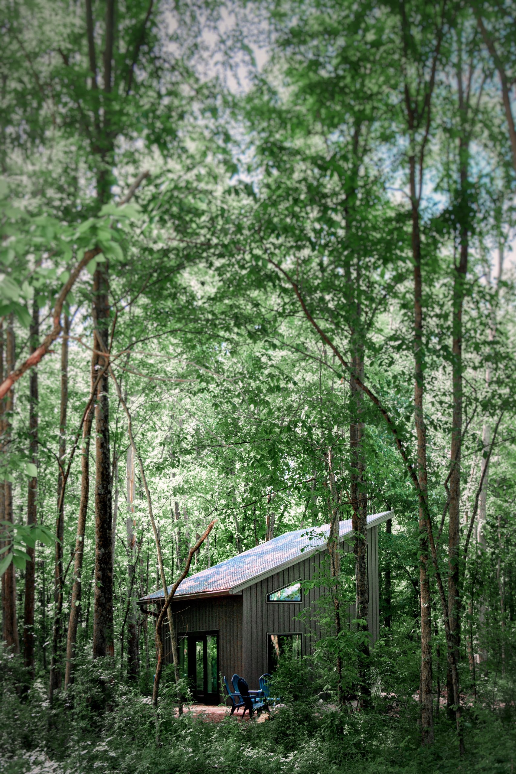 Cabin in the woods surrounded by greenery during summer at Retreat 21 near Columbus, Ohio