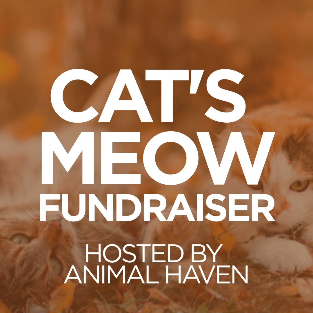 Cats Meow Fundraiser